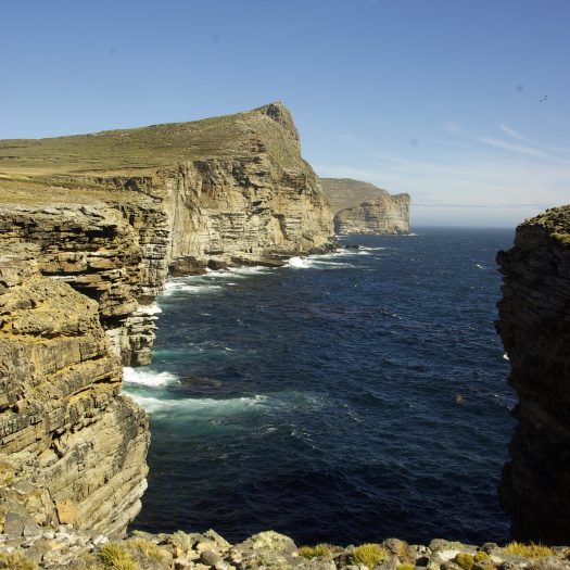Clifs