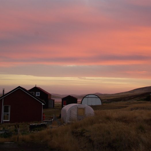 Sunset over houses