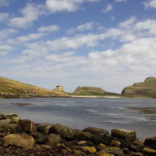 Falkland Islands – sea front