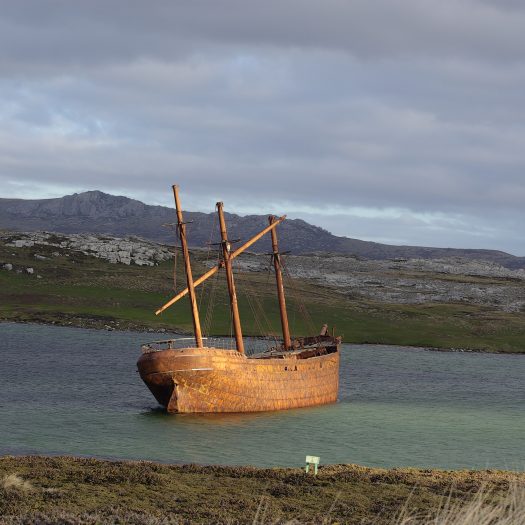 Lady Elizabeth Shipwreck 2