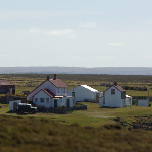Falklands Quiet Life