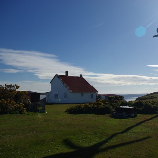 Falkland Islands life