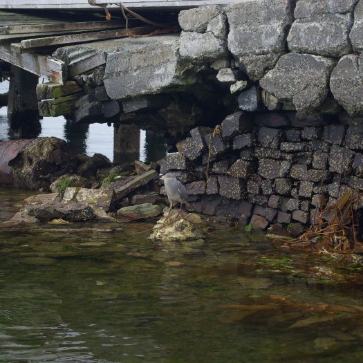 Falklands Heritage