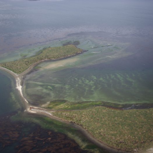John Island