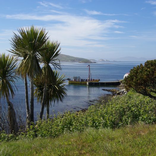 Stunning Sea View