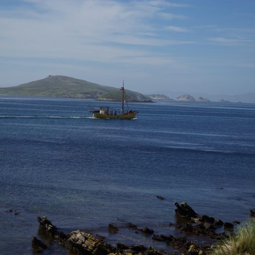 Falkland Ship