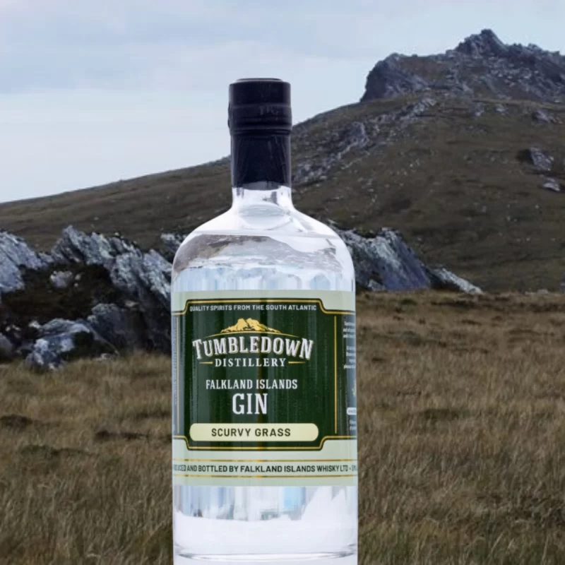 Tumbledown Mountain; Tumbledown Gin